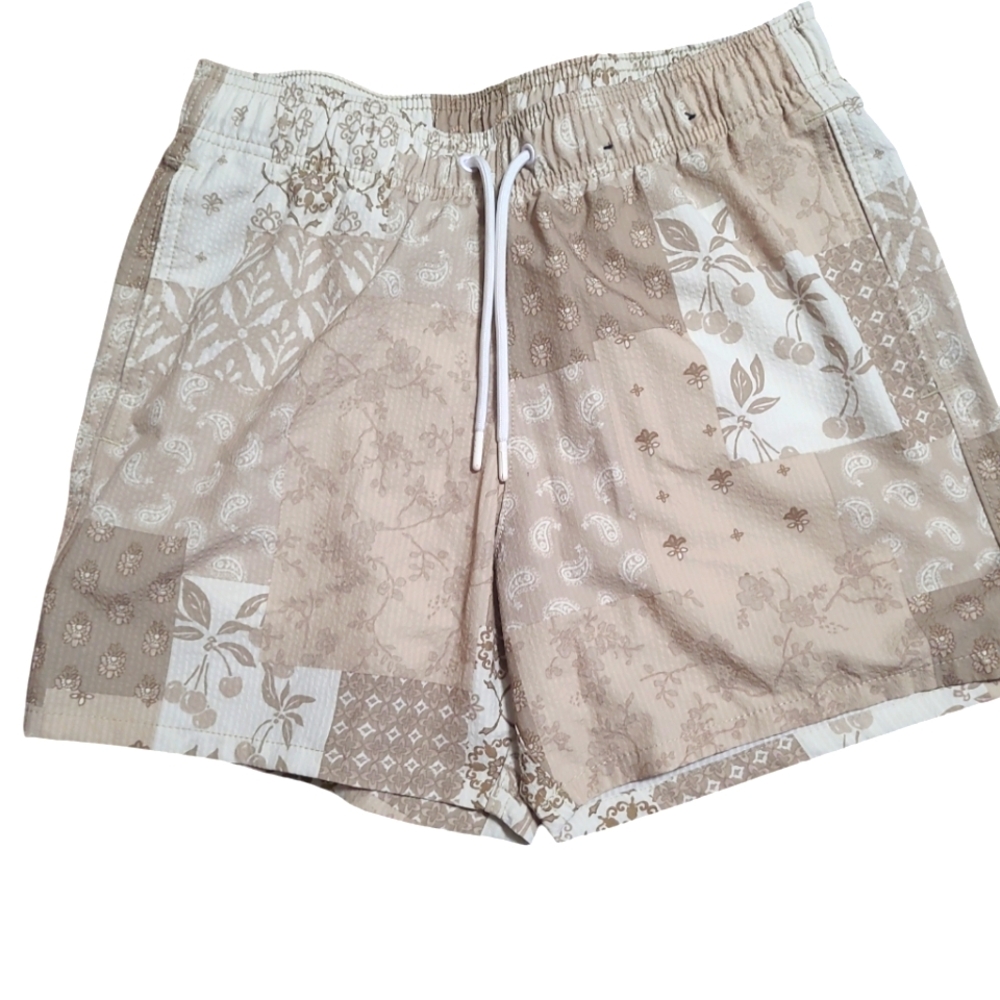 Hollister Mens Swim Trunks